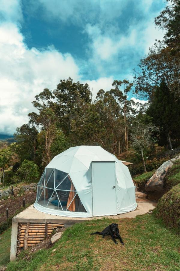 Guaia Terra Glamping