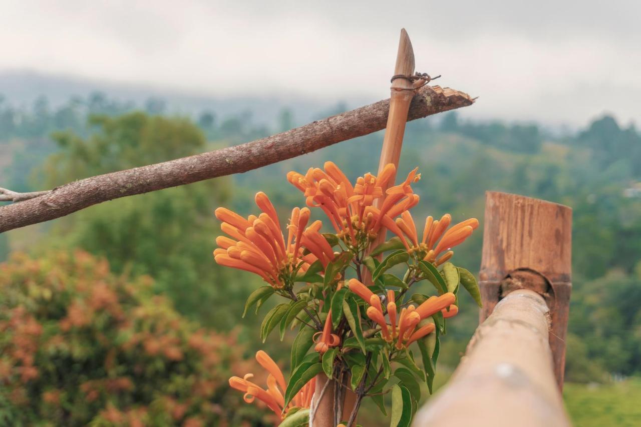 Guaia Terra Glamping * Pacho